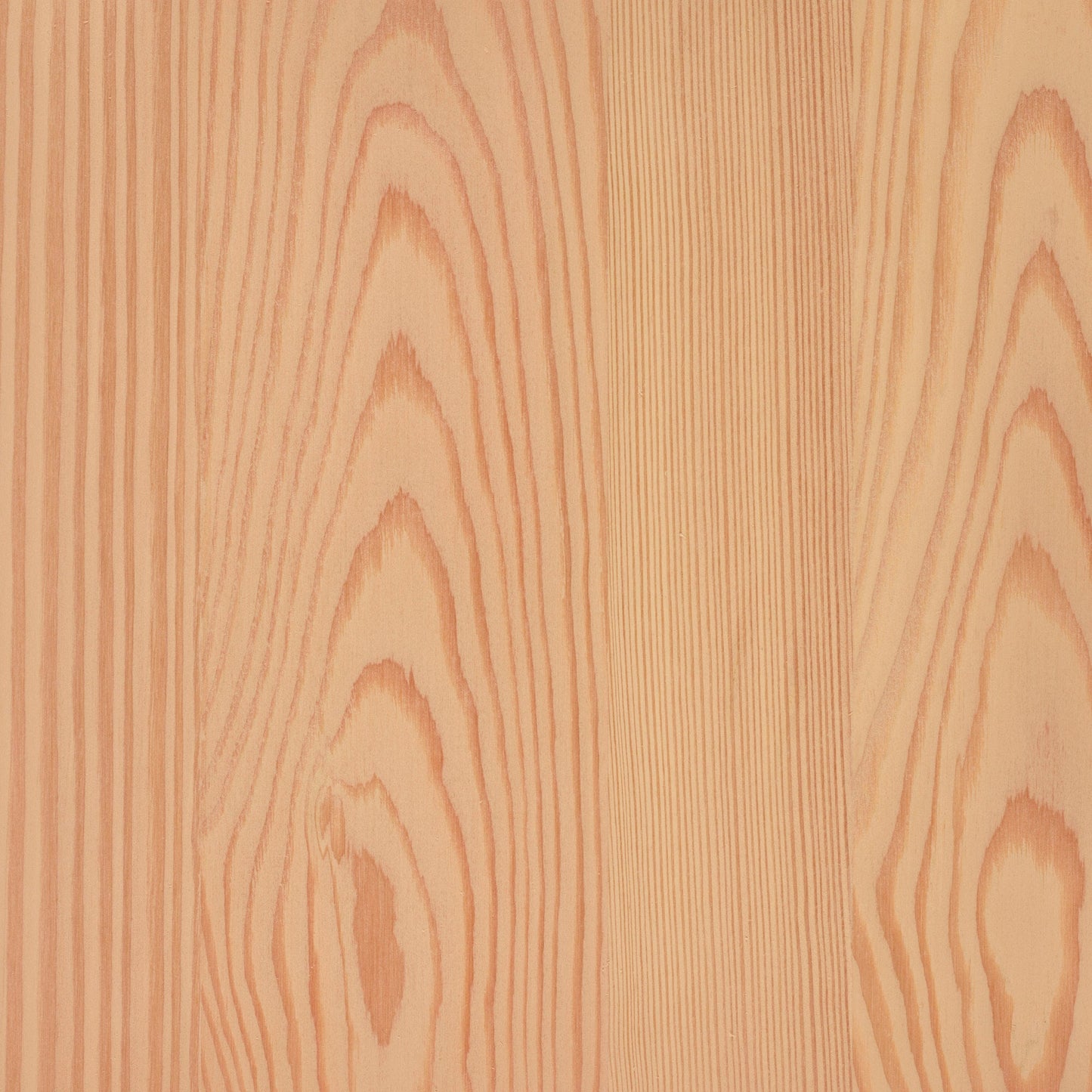 Larch
